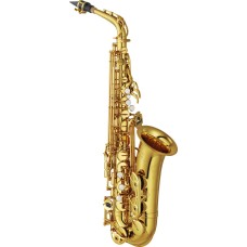 Saxophone Private Lesson