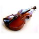 Violin Private Lesson